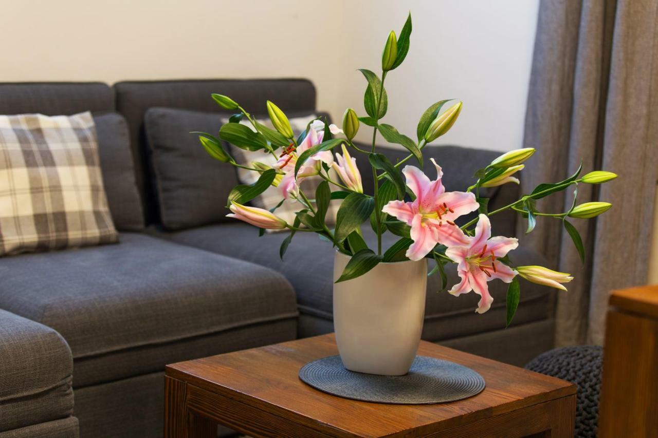 Apartment Koryntia ザコパネ エクステリア 写真